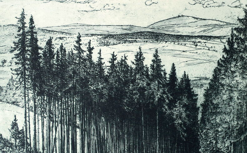 Feingliedrige Radierung in Blauschwarz, dargestellt ist ein Waldstück mit hohen Fichten an einem Hang, rechts führt ein Weg hinunter, weiter Blick über die Bäume hin zum Erzgebirgskamm